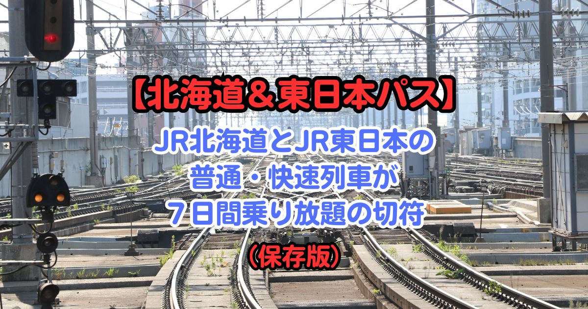 北海道フリーパス 12/23～24 JR北海道 特急列車乗り放題 列車でめぐる旅 JR北海道フリーパス（乗り放題）付きプラン｜格安