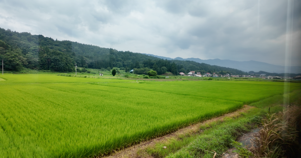 飯山線沿線の田園地帯
